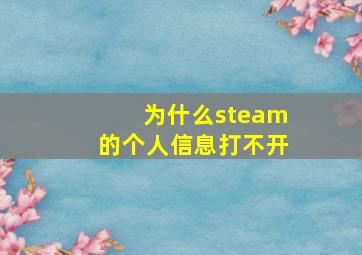 为什么steam的个人信息打不开