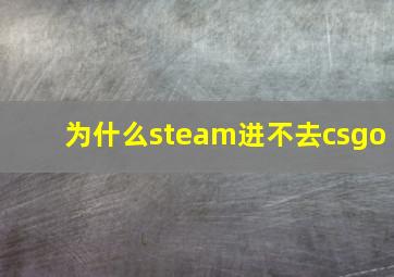 为什么steam进不去csgo