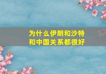 为什么伊朗和沙特和中国关系都很好