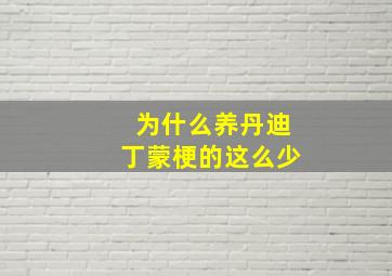 为什么养丹迪丁蒙梗的这么少