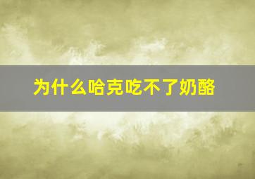 为什么哈克吃不了奶酪