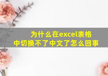 为什么在excel表格中切换不了中文了怎么回事