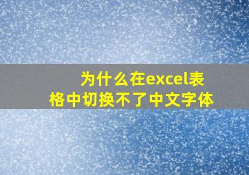 为什么在excel表格中切换不了中文字体