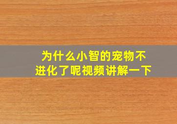 为什么小智的宠物不进化了呢视频讲解一下