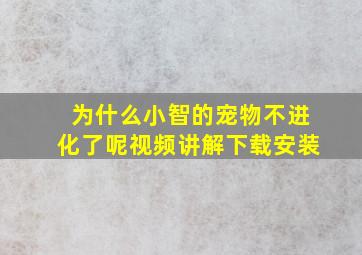 为什么小智的宠物不进化了呢视频讲解下载安装