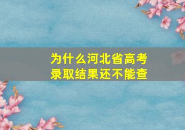 为什么河北省高考录取结果还不能查