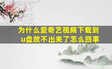 为什么爱奇艺视频下载到u盘放不出来了怎么回事