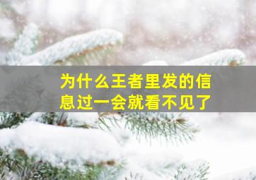 为什么王者里发的信息过一会就看不见了