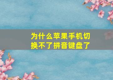 为什么苹果手机切换不了拼音键盘了