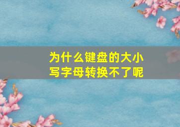 为什么键盘的大小写字母转换不了呢