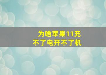 为啥苹果11充不了电开不了机