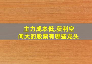 主力成本低,获利空间大的股票有哪些龙头