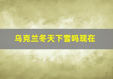 乌克兰冬天下雪吗现在