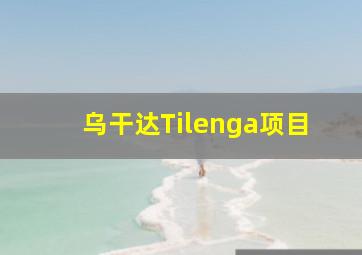 乌干达Tilenga项目