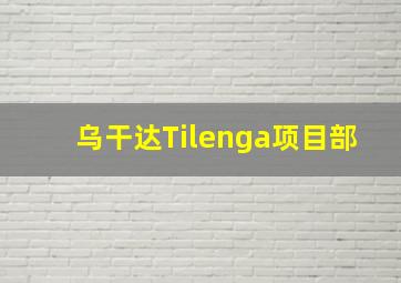 乌干达Tilenga项目部