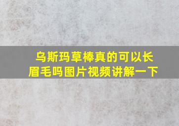 乌斯玛草棒真的可以长眉毛吗图片视频讲解一下