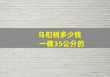 乌桕树多少钱一棵35公分的