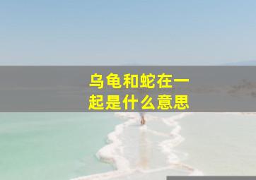 乌龟和蛇在一起是什么意思