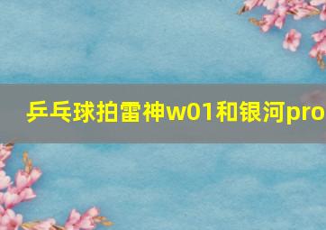 乒乓球拍雷神w01和银河pro1