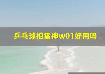 乒乓球拍雷神w01好用吗