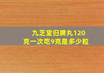 九芝堂归脾丸120克一次吃9克是多少粒