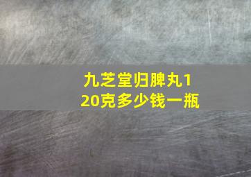 九芝堂归脾丸120克多少钱一瓶