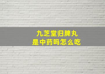 九芝堂归脾丸是中药吗怎么吃