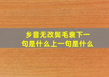 乡音无改鬓毛衰下一句是什么上一句是什么