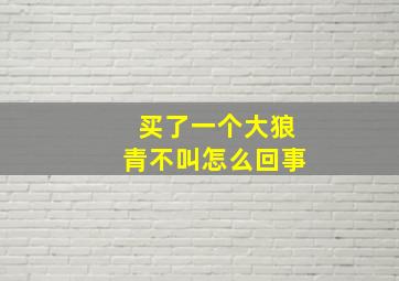 买了一个大狼青不叫怎么回事