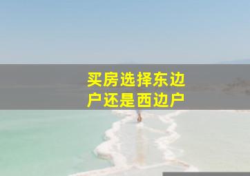 买房选择东边户还是西边户