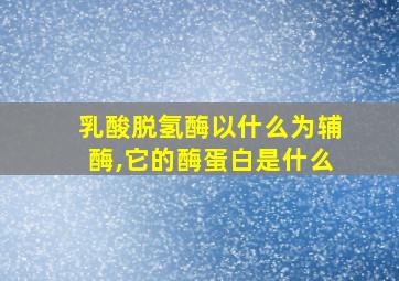 乳酸脱氢酶以什么为辅酶,它的酶蛋白是什么