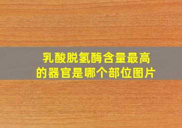 乳酸脱氢酶含量最高的器官是哪个部位图片