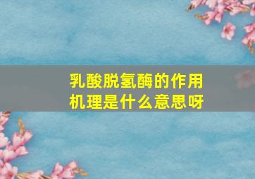 乳酸脱氢酶的作用机理是什么意思呀