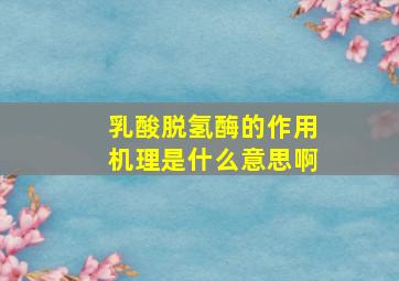 乳酸脱氢酶的作用机理是什么意思啊