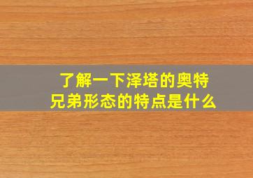 了解一下泽塔的奥特兄弟形态的特点是什么