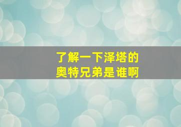 了解一下泽塔的奥特兄弟是谁啊