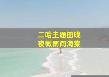 二哈主题曲晚夜微雨问海棠