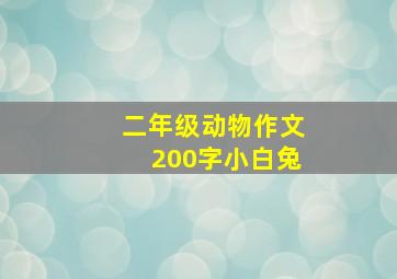 二年级动物作文200字小白兔