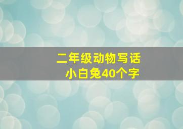 二年级动物写话小白兔40个字