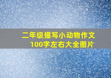 二年级描写小动物作文100字左右大全图片