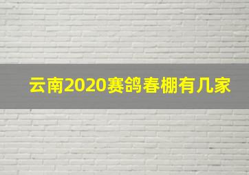 云南2020赛鸽春棚有几家