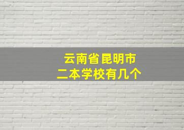 云南省昆明市二本学校有几个