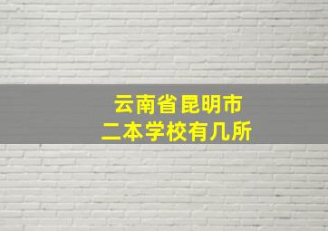 云南省昆明市二本学校有几所