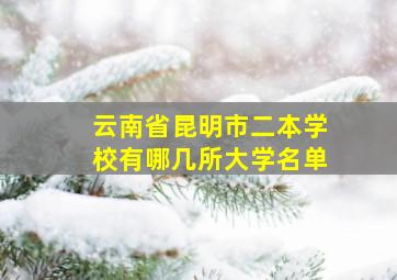 云南省昆明市二本学校有哪几所大学名单