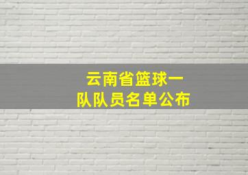 云南省篮球一队队员名单公布