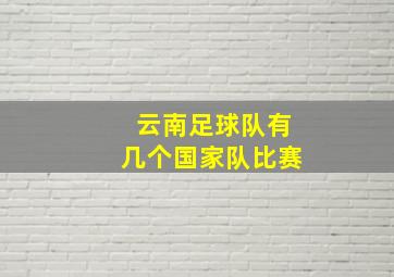 云南足球队有几个国家队比赛