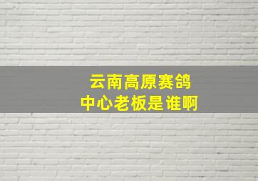 云南高原赛鸽中心老板是谁啊