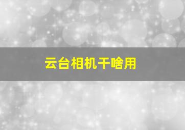 云台相机干啥用