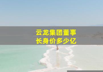 云龙集团董事长身价多少亿