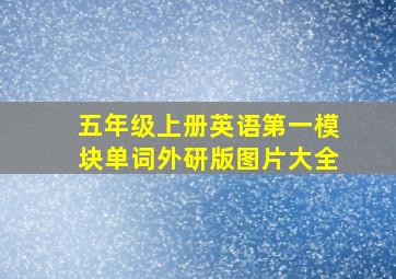 五年级上册英语第一模块单词外研版图片大全